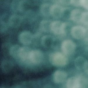 Meet your Posher, Maggy